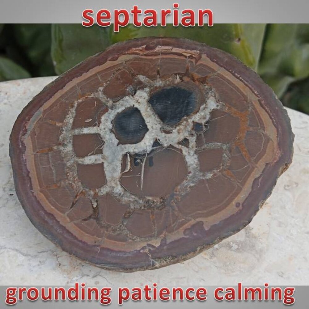#3 Septarian nodule rock stone crystal fossil PATIENCE tolerance CALMING